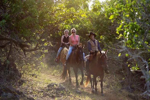 Sunset Horseback Ride